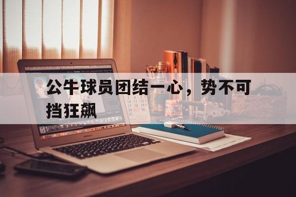 关于公牛球员团结一心，势不可挡狂飙的信息